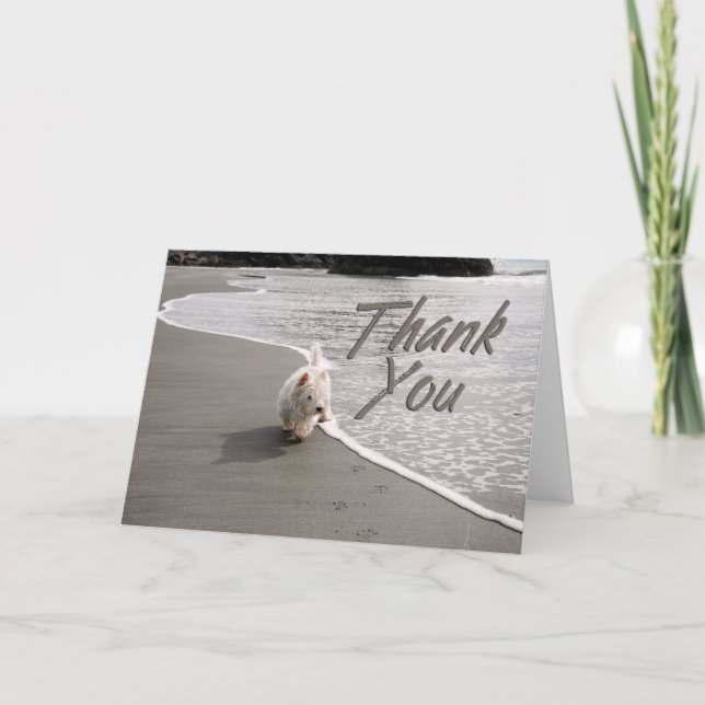 Tarjeta De Agradecimiento Beachcombing Westie Photo You Card (Anverso)