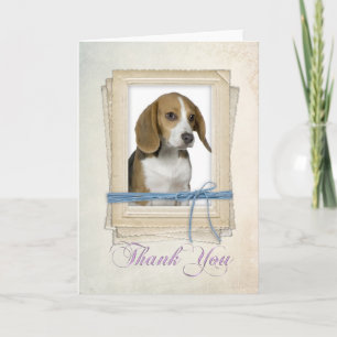 Tarjeta De Agradecimiento Beagle Gracias Card