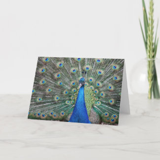 Tarjeta De Agradecimiento BeautifulPeacock