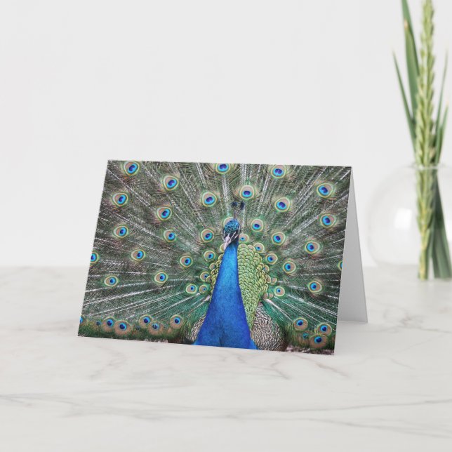 Tarjeta De Agradecimiento BeautifulPeacock (Anverso)