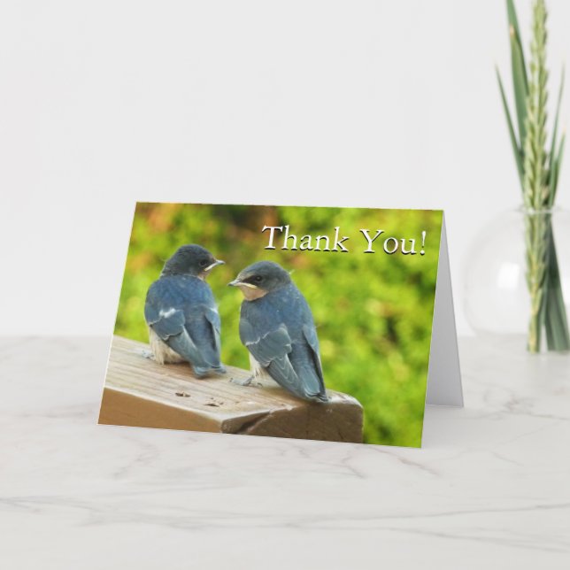 Tarjeta De Agradecimiento Bebé Barn Trague La Naturaleza Gracias (Anverso)