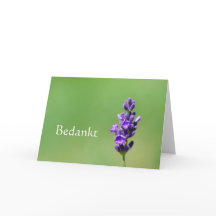 Bedankt - Gracias en holandés con flor de lavanda