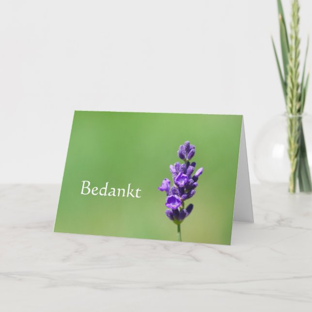 Tarjeta De Agradecimiento Bedankt - Gracias en holandés con flor de lavanda (Anverso)