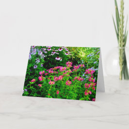 Tarjeta De Agradecimiento Bee Balm