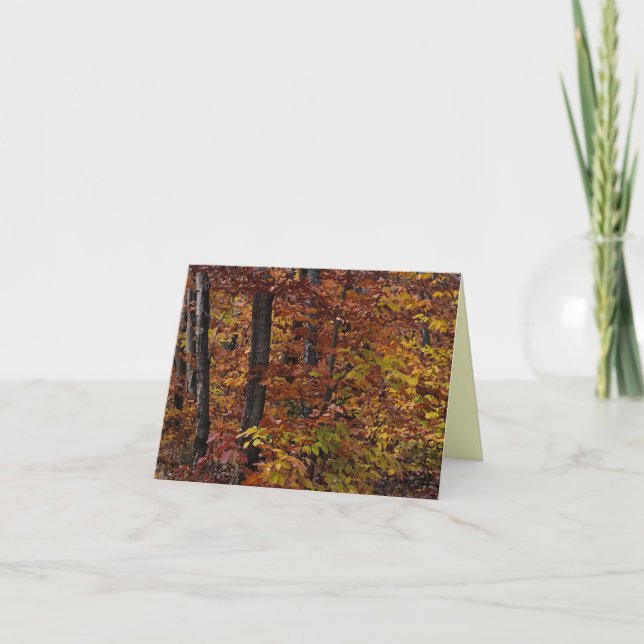 Tarjeta De Agradecimiento Beech Tree Forest Gracias (Anverso)