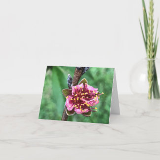 Tarjeta De Agradecimiento Bella Flor Rosa en Melocotonero