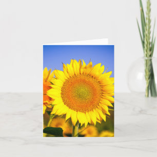 Tarjeta De Agradecimiento Belleza de girasol