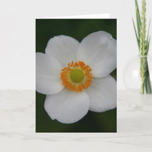 Tarjeta De Agradecimiento belleza de pétalos blancos