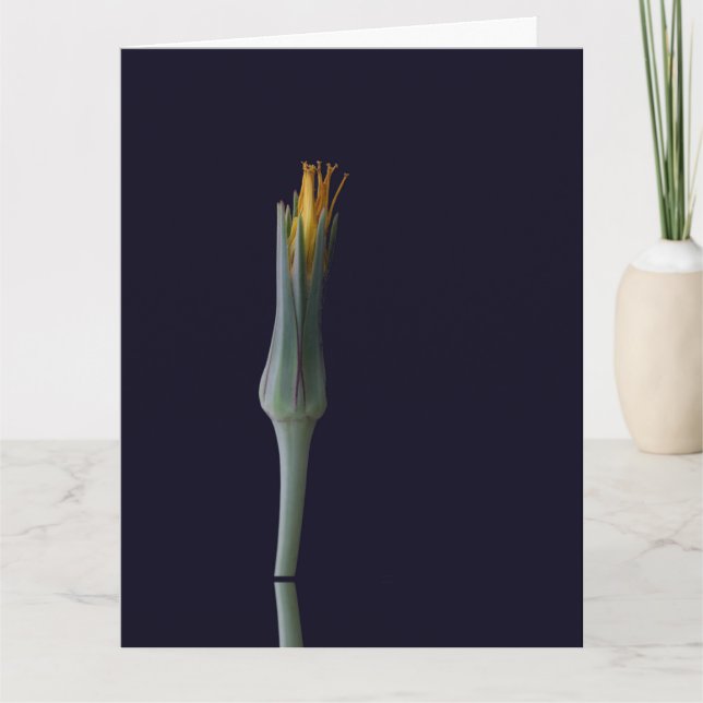 Tarjeta De Agradecimiento Belleza floral oculta (Anverso)