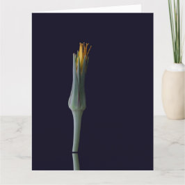 Tarjeta De Agradecimiento Belleza floral oculta