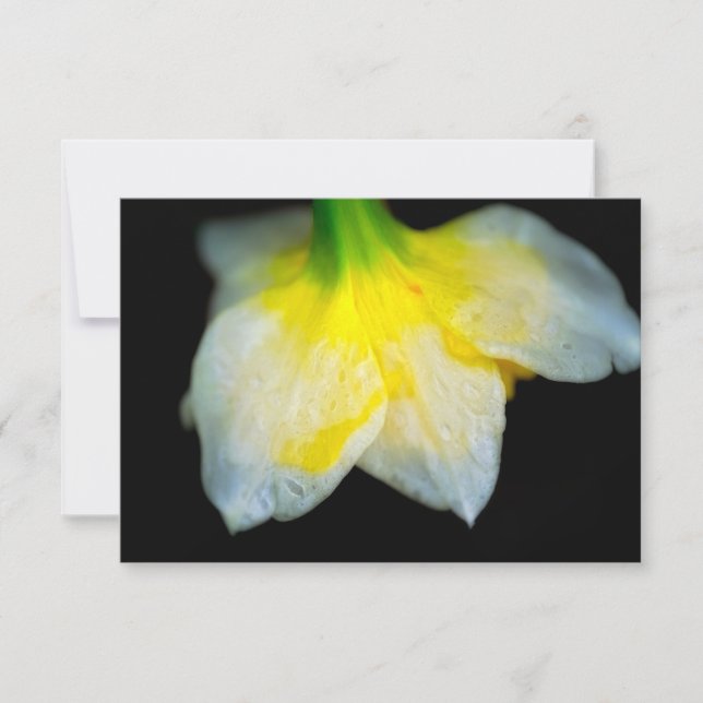 Tarjeta De Agradecimiento Belleza por debajo (Anverso)