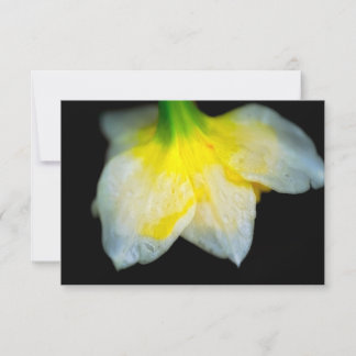 Tarjeta De Agradecimiento Belleza por debajo