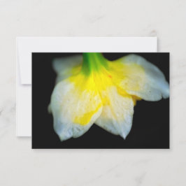 Tarjeta De Agradecimiento Belleza por debajo