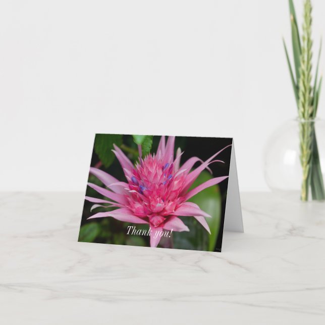 Tarjeta de agradecimiento - Belleza rosa (Anverso)