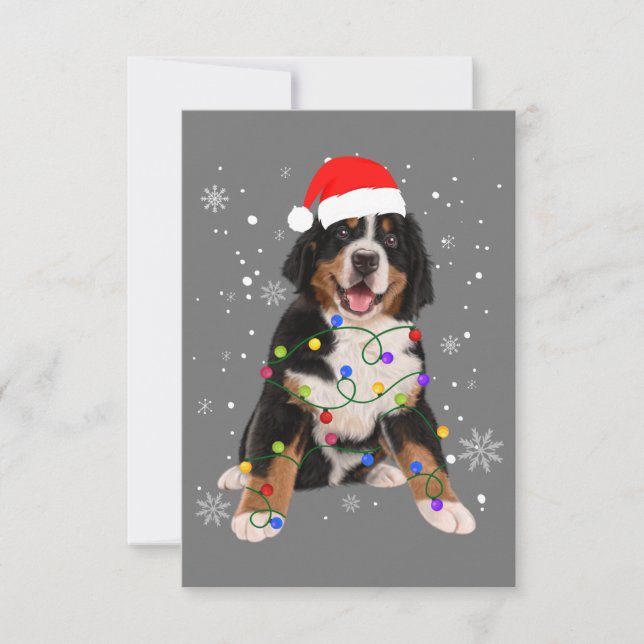 Tarjeta De Agradecimiento Bernese Mountain Dog ilumina a Navidades coincidie (Anverso)