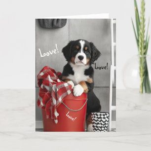 Tarjeta De Agradecimiento Bernese Mountain Dog Puppy Valentcard