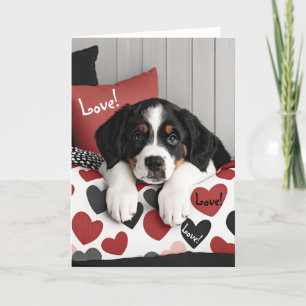 Tarjeta De Agradecimiento Bernese Mountain Dog Puppy Valentcard