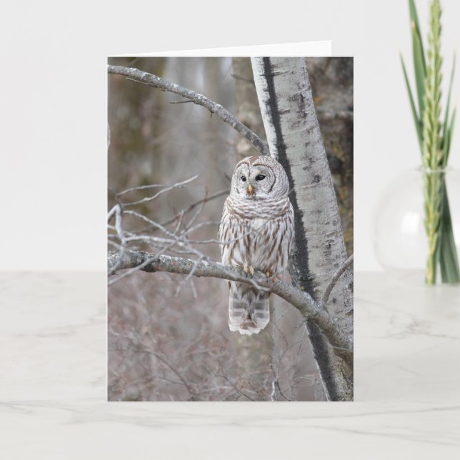Tarjeta De Agradecimiento Bird Bird Wildlife Blank Notecard (Anverso)