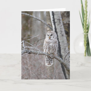 Tarjeta De Agradecimiento Bird Bird Wildlife Blank Notecard