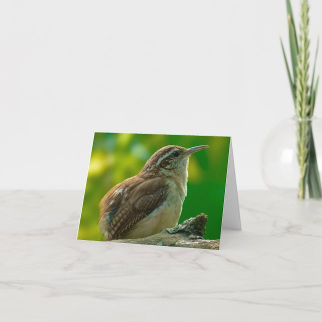Tarjeta De Agradecimiento Bird Notecard (Anverso)