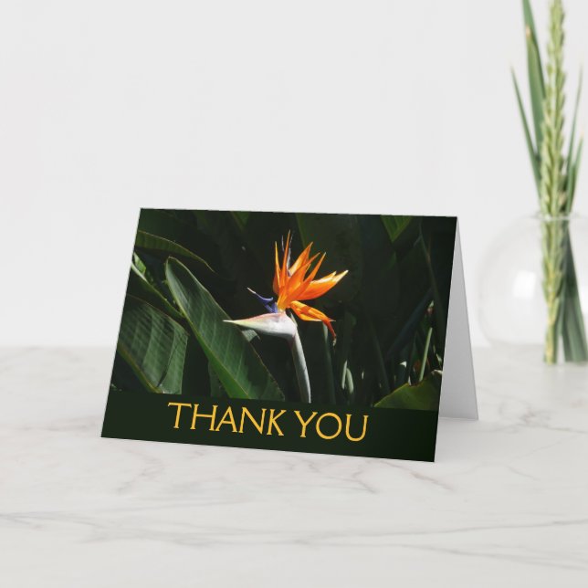 Tarjeta De Agradecimiento Bird of Paradise Orange Tropical Flower (Anverso)