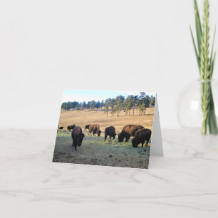 Tarjeta De Agradecimiento Bison de Colorado