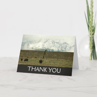 Tarjeta De Agradecimiento Bison en la fotografía del parque nacional del Gra