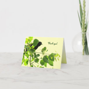 Tarjeta De Agradecimiento Blackbird Gracias