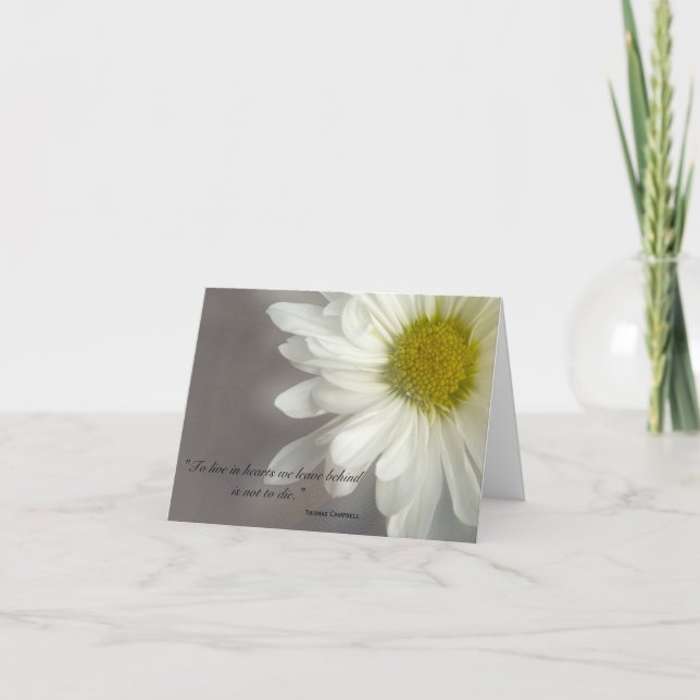 Tarjeta De Agradecimiento Blando y suave margarita gracias por su simpatía (Anverso)