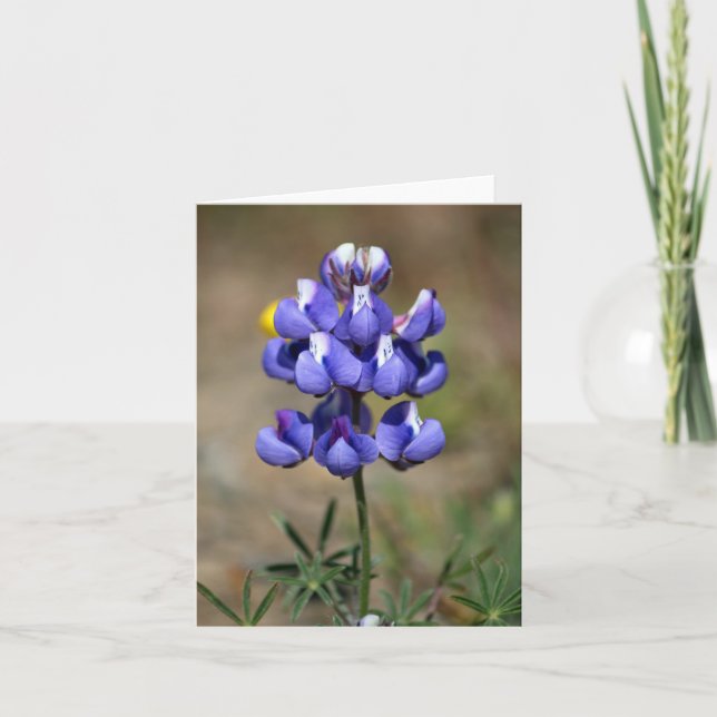 Tarjeta De Agradecimiento Blank, Lupin (Anverso)