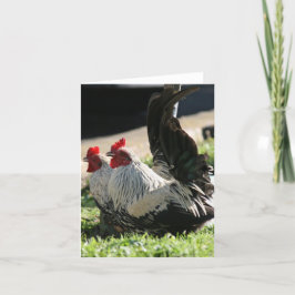 Tarjeta De Agradecimiento Blank, Rooster