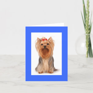 Tarjeta De Agradecimiento Blank Yorkshire Terrier Cuppy Dog Notecard