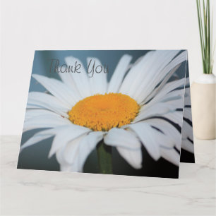Tarjeta De Agradecimiento Blue Gray Daisy Gracias