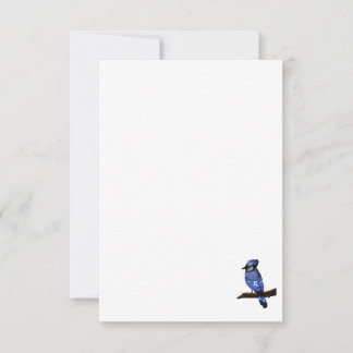 Tarjeta De Agradecimiento Blue Jay Bird
