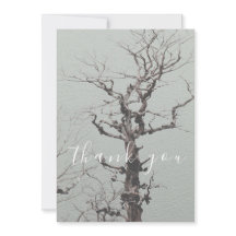 Blue Lake Flat (Árbol aleteado, lago azul) Gracias