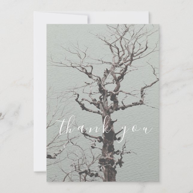 Tarjeta De Agradecimiento Blue Lake Flat (Árbol aleteado, lago azul) Gracias (Anverso)