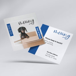 Tarjeta De Agradecimiento Blue We're Moving Dachshund Dog in Box Card