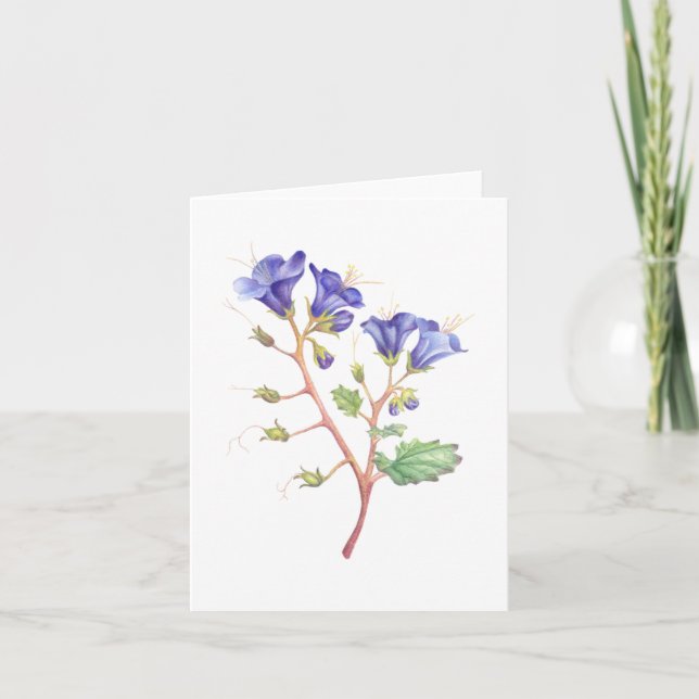 Tarjeta De Agradecimiento Bluebells del desierto (Anverso)