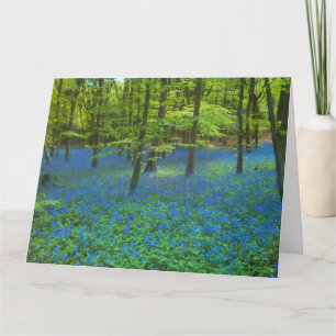 Tarjeta De Agradecimiento Bluebells Spring Floral Boda Gracias