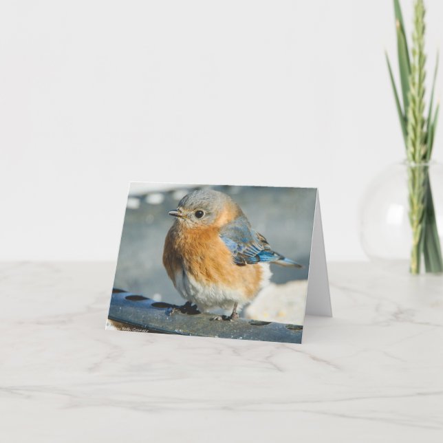 Tarjeta De Agradecimiento Bluebird de la felicidad (Anverso)