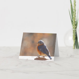 Tarjeta De Agradecimiento Bluebird Notecard - Blank Inside