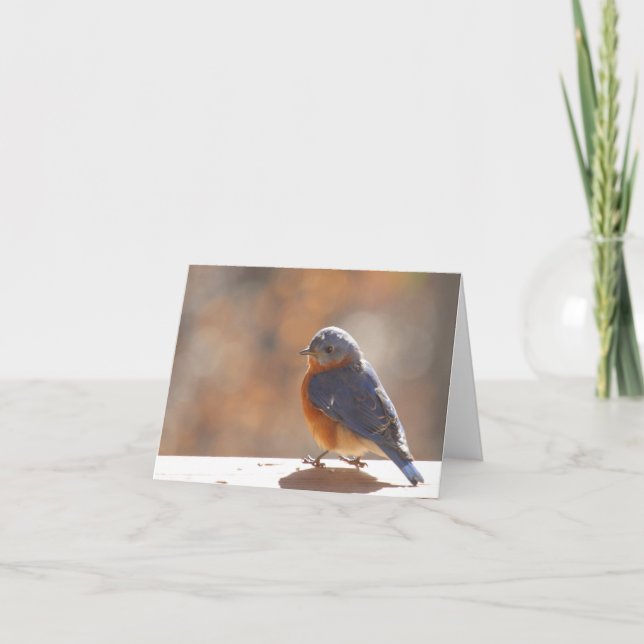 Tarjeta De Agradecimiento Bluebird Notecard - Blank Inside (Anverso)