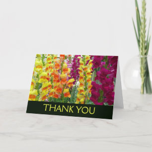 Tarjeta De Agradecimiento Boca de Dragón Floral Colorida