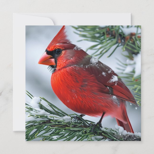 Tarjeta De Agradecimiento Boda de Navidades del Cardenal Invierno Red Bird P (Anverso)