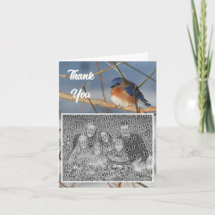 Tarjeta De Agradecimiento Boda Winter Bluebird