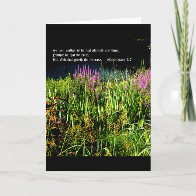 Tarjeta De Agradecimiento Bog Garden con 1 Corinthians 3:7 (Anverso)