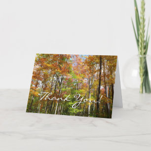 Tarjeta De Agradecimiento Bosque de Otoño II Fotografía de paisaje otoñal