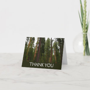 Tarjeta De Agradecimiento Bosque Mariposa en el Parque Nacional Yosemite