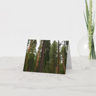 Tarjeta De Agradecimiento Bosque Mariposa en el Parque Nacional Yosemite