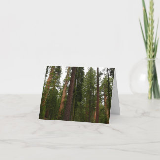 Tarjeta De Agradecimiento Bosque Mariposa en el Parque Nacional Yosemite